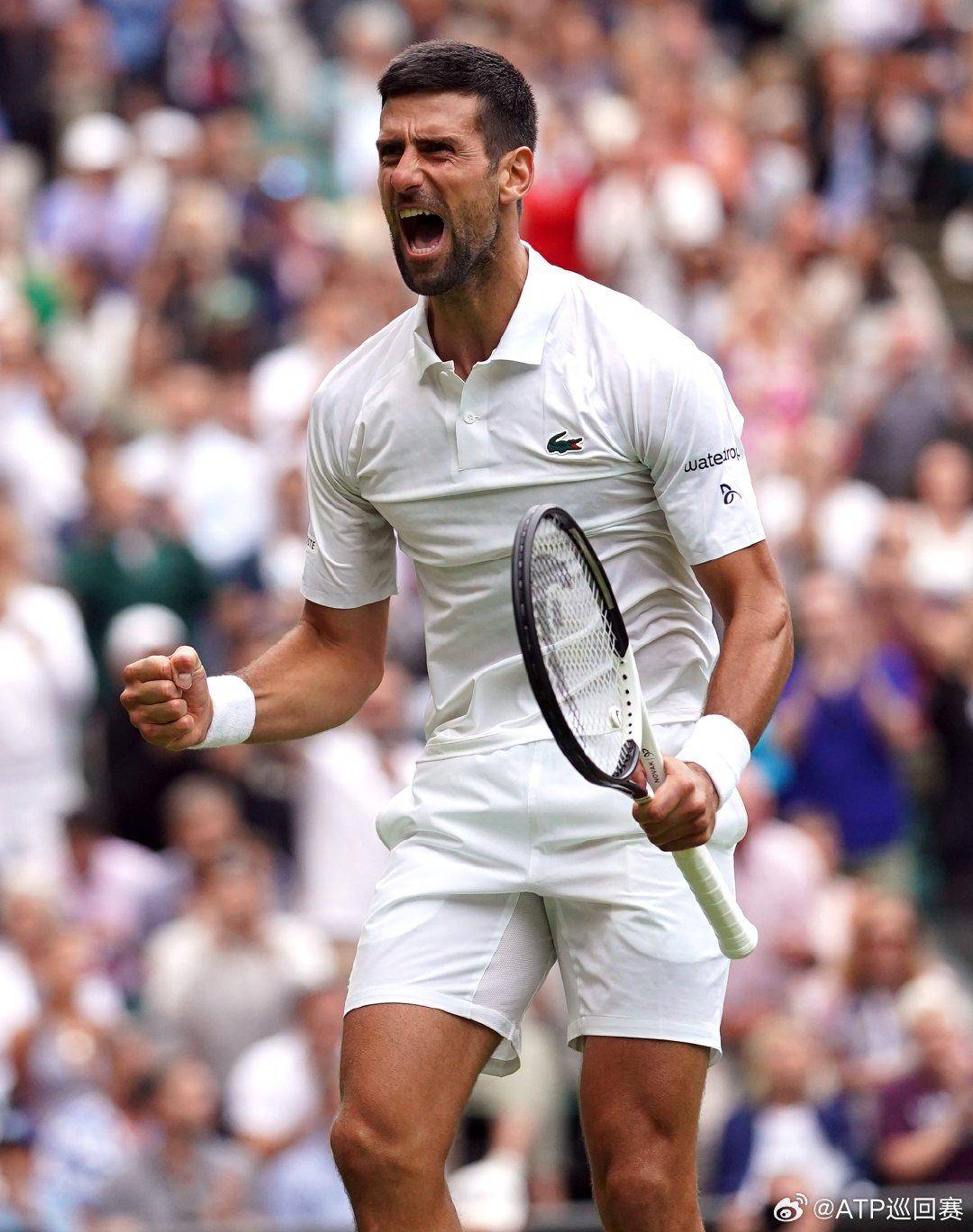 0完胜比萨 0完胜比萨